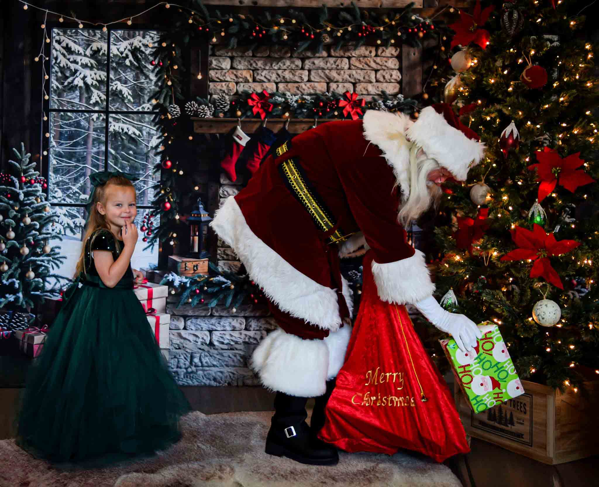 Kate Hiver Noël Cheminée en brique Brun Fenêtre Toile de fond conçue par Emetselch - Kate Backdrop FR