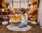 Offres Éclair Kate Automne Oreiller Citrouille Fenêtre Boho Toile de fond conçue par Emetselch - Kate Backdrop FR