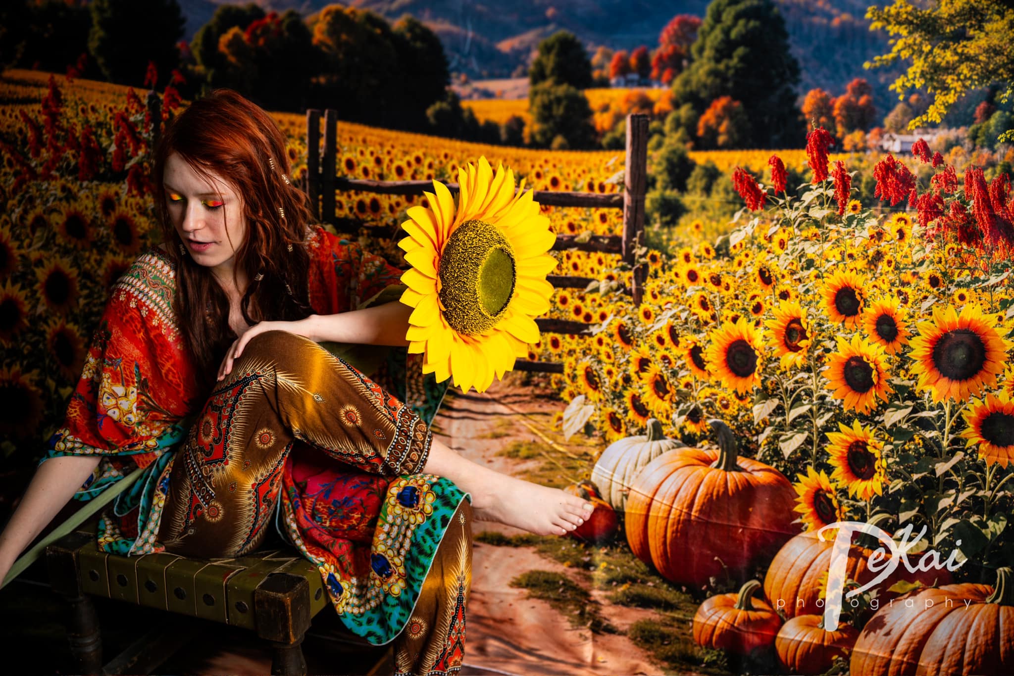 Kate Automne Tournesol Champ Citrouilles Ferme Toile de fond+Forêt Ombre Prairie Chemin Sol Toile de fond - Kate Backdrop FR
