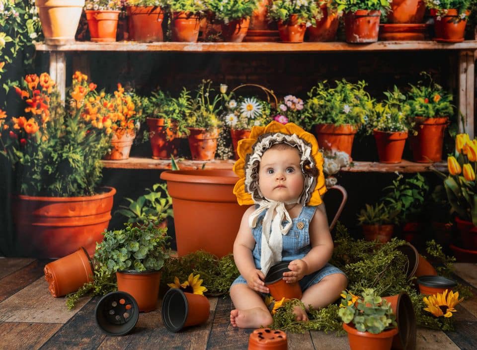 Kate Printemps Plante en pot Vert Fenêtre Ensoleillé Toile de fond conçue par Emetselch - Kate Backdrop FR