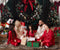 Kate Noël Rideau Vert foncé Mur Vintage Cadeaux Toile de fond conçue par Emetselch - Kate Backdrop FR