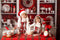 Offres Éclair #1 Kate Cuisine Armoire Noël Rouge Toile de fond conçu par Emetselch - Kate Backdrop FR