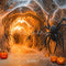 Kate Halloween Araignées Toiles Citrouilles Toile de fond conçue par Emetselch - Kate Backdrop FR