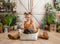 Kate Printemps Porte en Bois Blanc Plantes Toile de fond conçue par Emetselch - Kate Backdrop FR