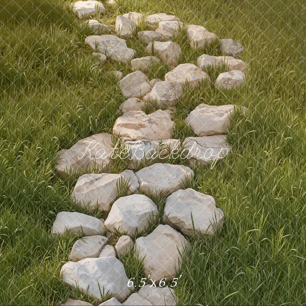 Kate Chemin Pierres Herbe Sol Toile de fond conçue par Kate Image - Kate Backdrop FR