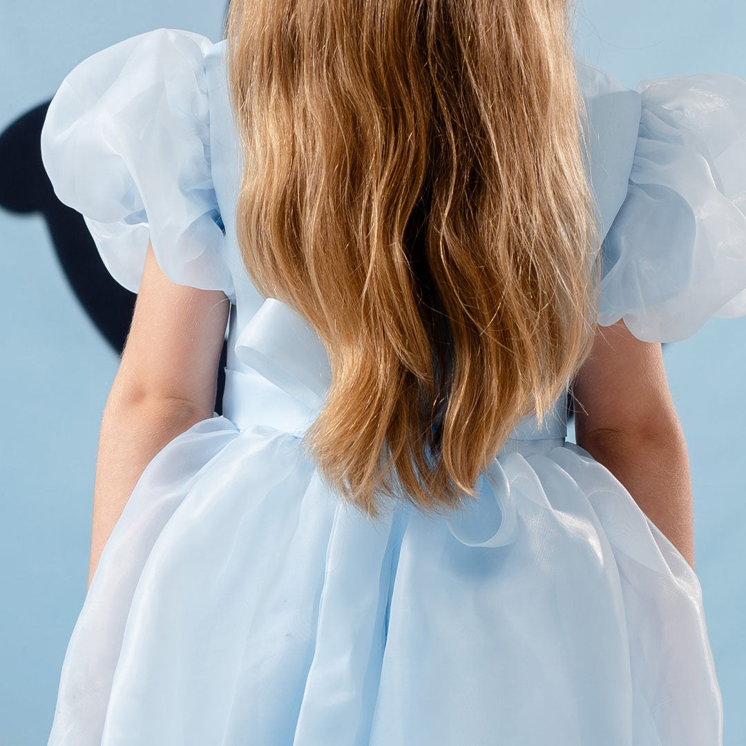 Kate Anniversaire Princesse Bleu Robe pour Enfants - Kate Backdrop FR