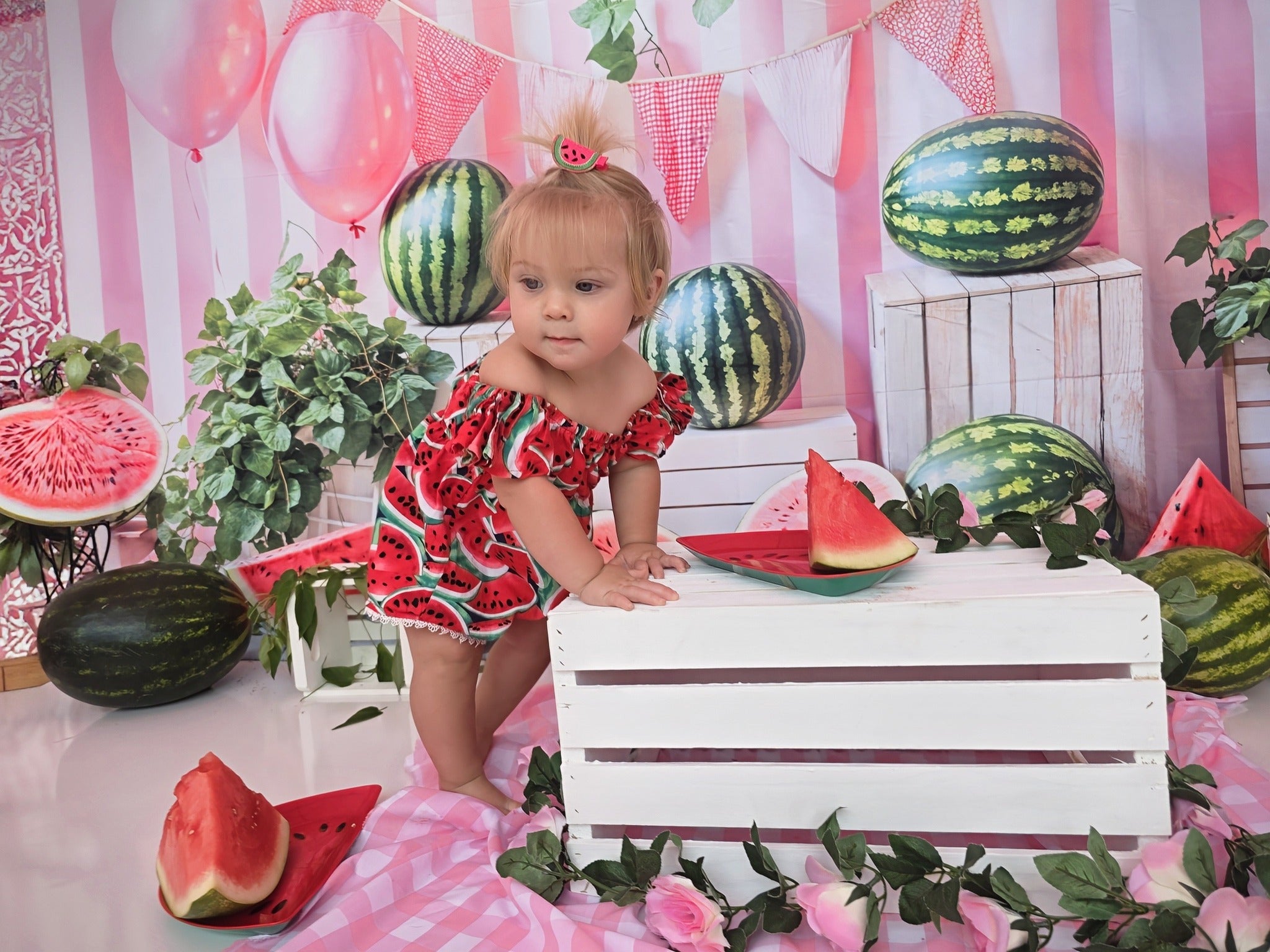 Kate Été Pastèque Anniversaire Rose Toile de fond conçue par Emetselch - Kate Backdrop FR