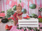 Kate Été Pastèque Anniversaire Rose Toile de fond conçue par Emetselch - Kate Backdrop FR
