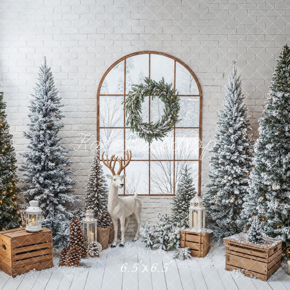 Kate Noël Sapins Fenêtre Lanternes Toile de fond conçue par Emetselch