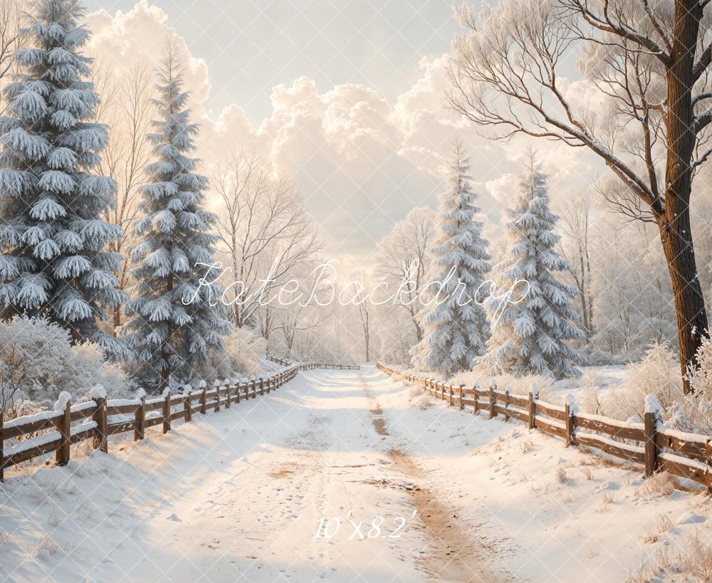 Kate Hiver Chemin Neige Sapins Toile de fond conçue par Emetselch - Kate Backdrop FR