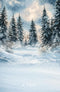 Kate Hiver Forêt Neige Arbres Toile de fond en Laine conçue par Emetselch