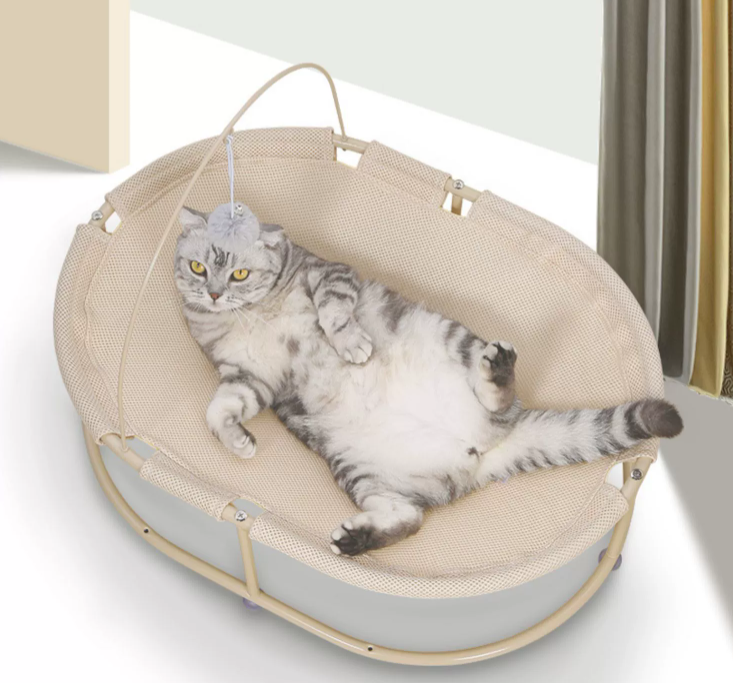 Kate Lit métallique Animaux de compagnie Accessoires de photographie - Kate Backdrop FR