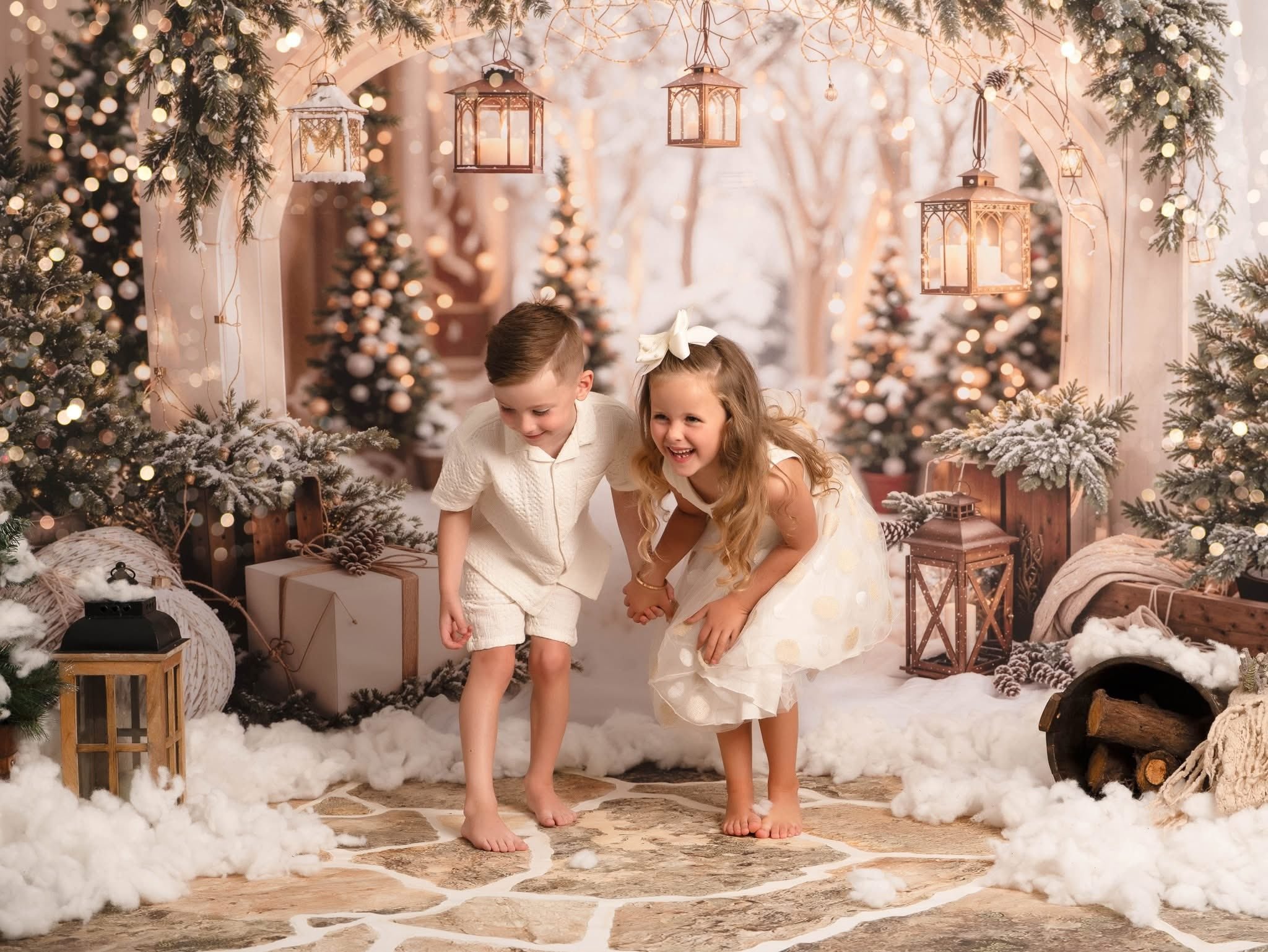 Kate Noël Arche Neige Arbres Lumière Toile de fond conçue par Emetselch