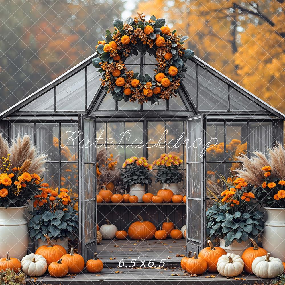 Kate Automne Serre Citrouilles Fleurs Toile de fond conçue par Mini MakeBelieve