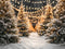 Kate Noël Sapins Lumières Toile de fond en Laine conçue par Emetselch - Kate Backdrop FR