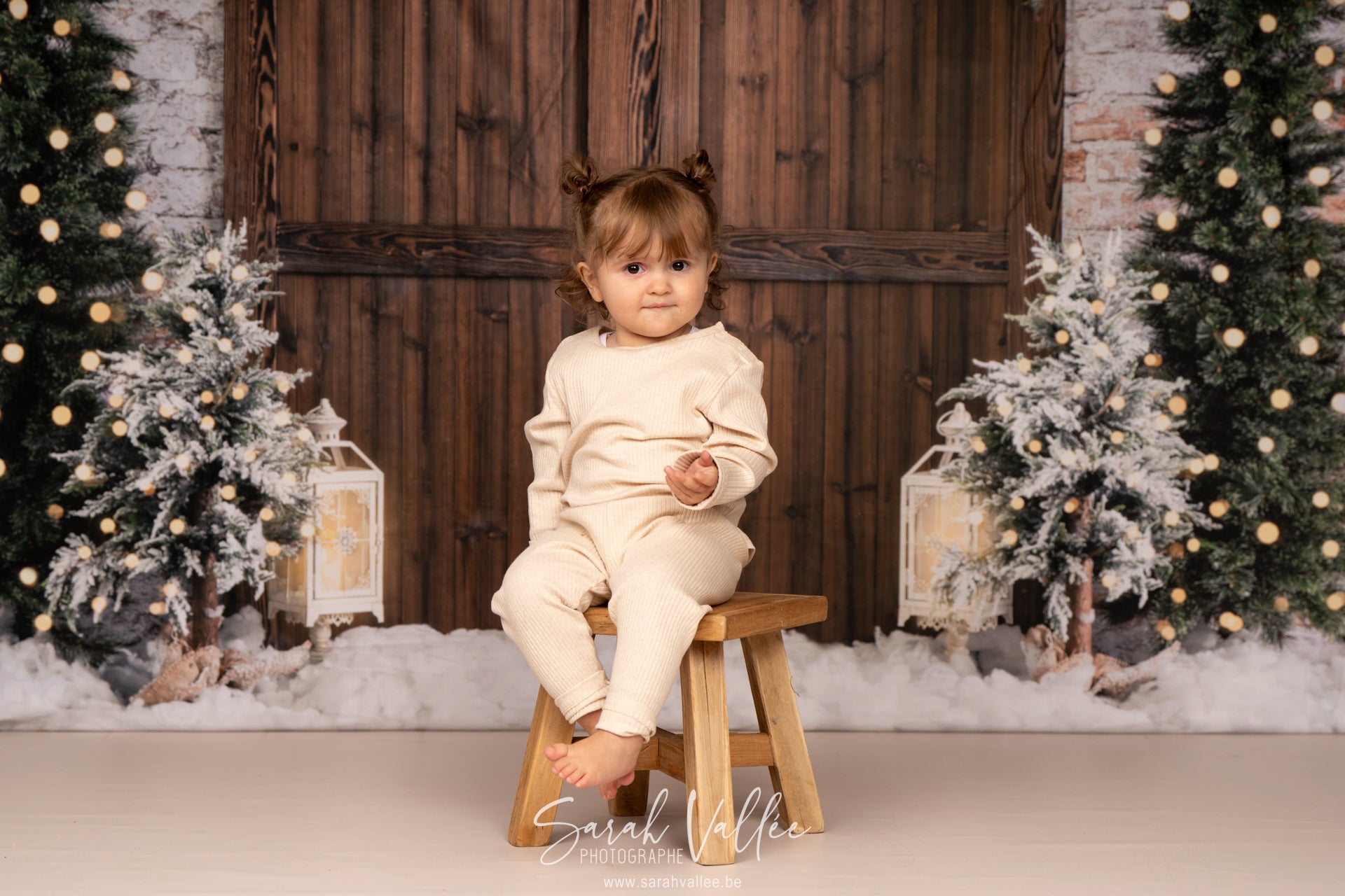 Kate Noël Mur de briques Arbres Porte Hiver Toile de fond conçue par Emetselch