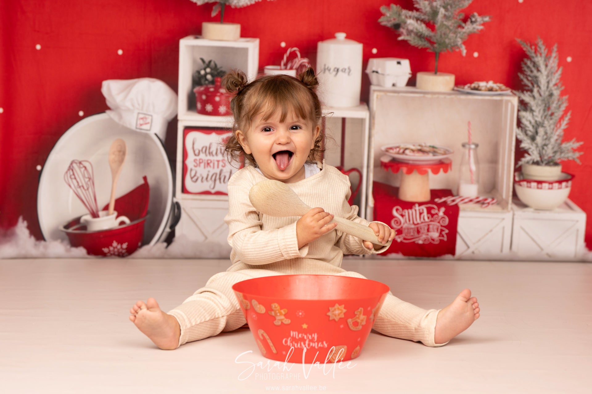 Kate Fête Noël Rouge Arbres Neige Toile de fond conçue par Mandy Ringe