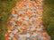 Kate Automne Feuilles Sol Pavé Toile de fond conçue par Emetselch