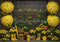 Kate Jardin Parapluies Fleurs Jaune Toile de fond conçue par Mini MakeBelieve