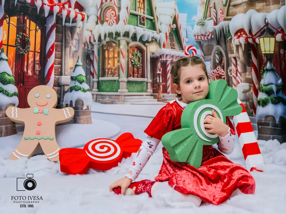 Kate Noël Hiver Ville Rue Maisons Toile de fond conçue par Emetselch - Kate Backdrop FR