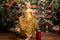 Kate Serre Bibliothèque École Toile de fond conçue par Mini MakeBelieve
