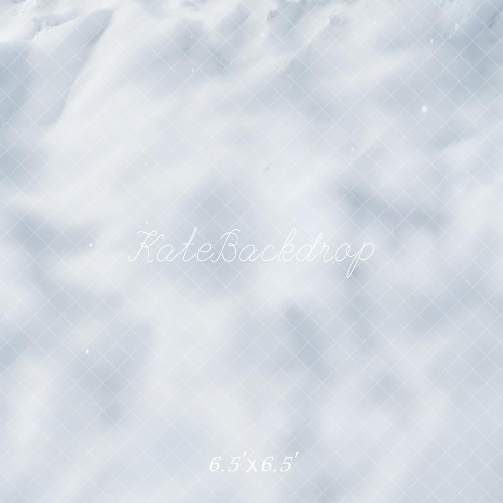Kate Hiver Neige Texture Blanche Toile de fond conçue par Emetselch - Kate Backdrop FR