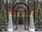 Kate Noël Sapins Arche Lumières Toile de fond conçue par Mini MakeBelieve - Kate Backdrop FR