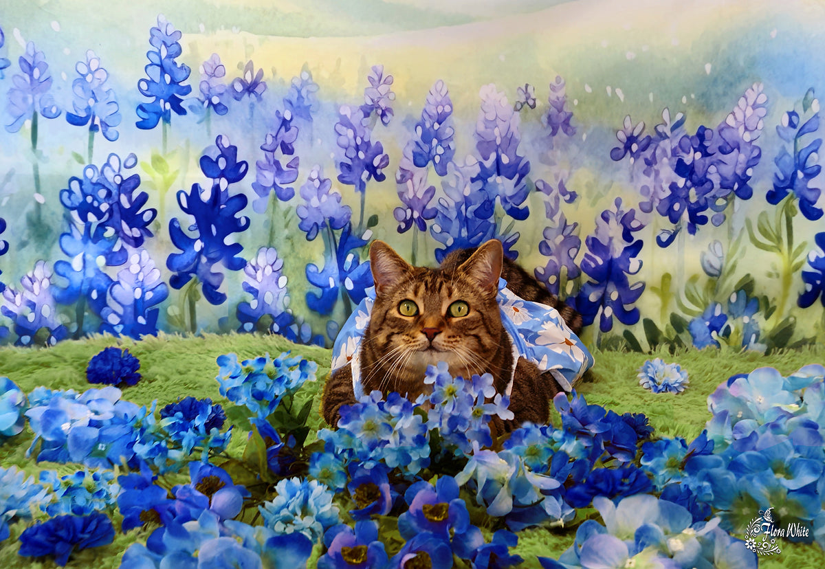 Kate Bleuet Fleurs épanouies Champ Toile de fond Conçu par Patty Roberts - Kate Backdrop FR