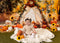 Kate Automne Tipi Tournesols Citrouilles Toile de fond conçue par Patty Roberts - Kate Backdrop FR