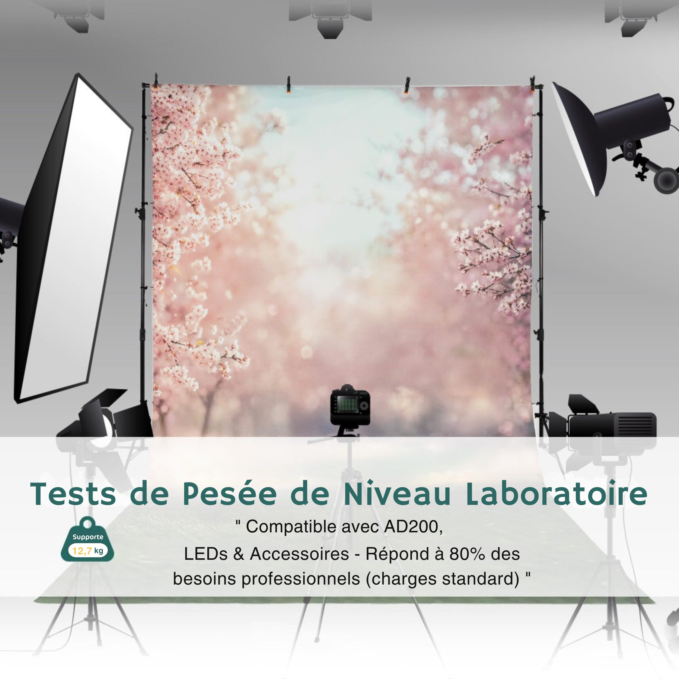 Kate Support Lumière à Air Comprimé et Pliable 2,6m(8,5pi)-Connexion 1/4 de Pouce