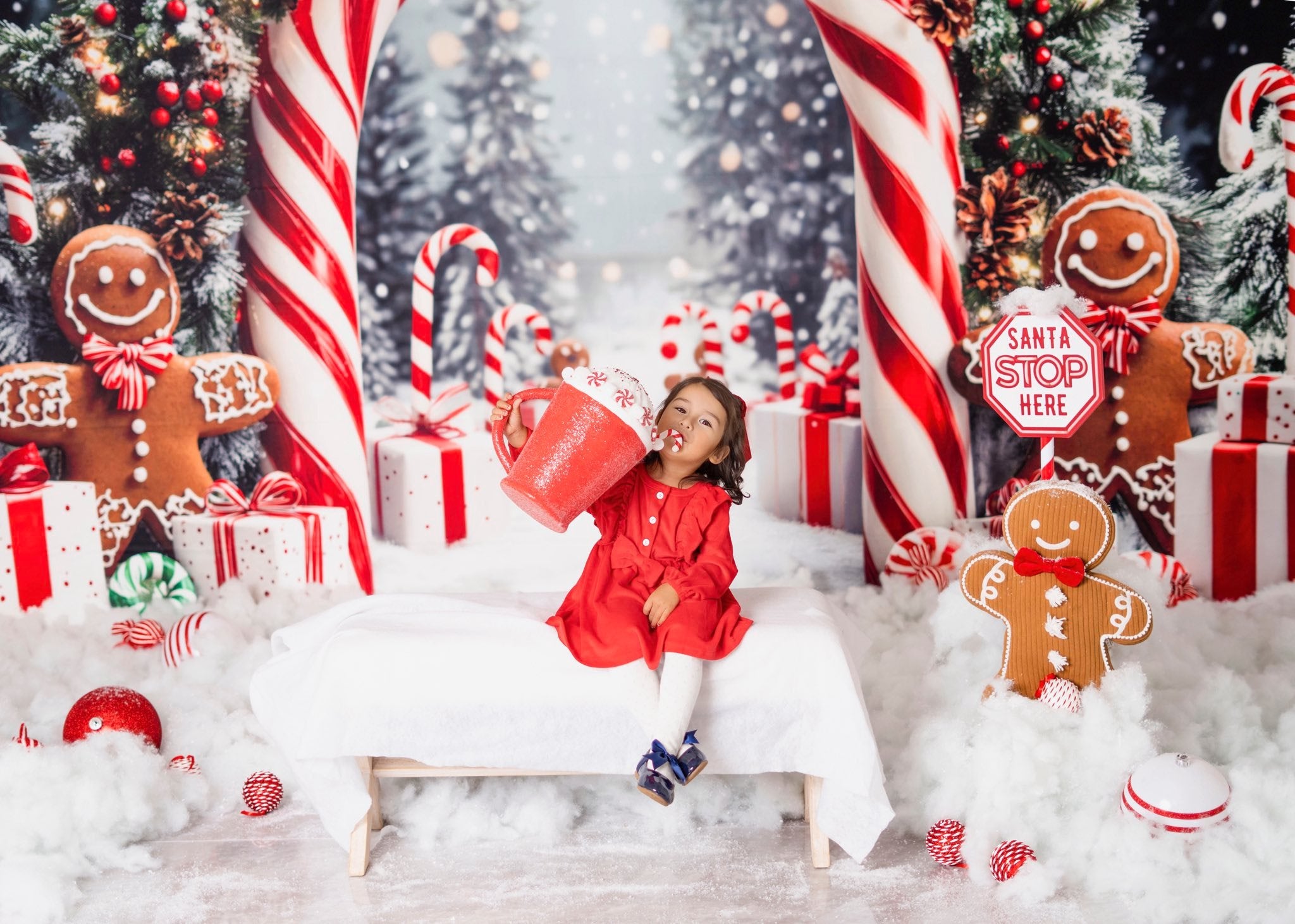 Kate Noël Arc Bonbons Pain d'Épice Neige Toile de fond conçue par Emetselch - Kate Backdrop FR