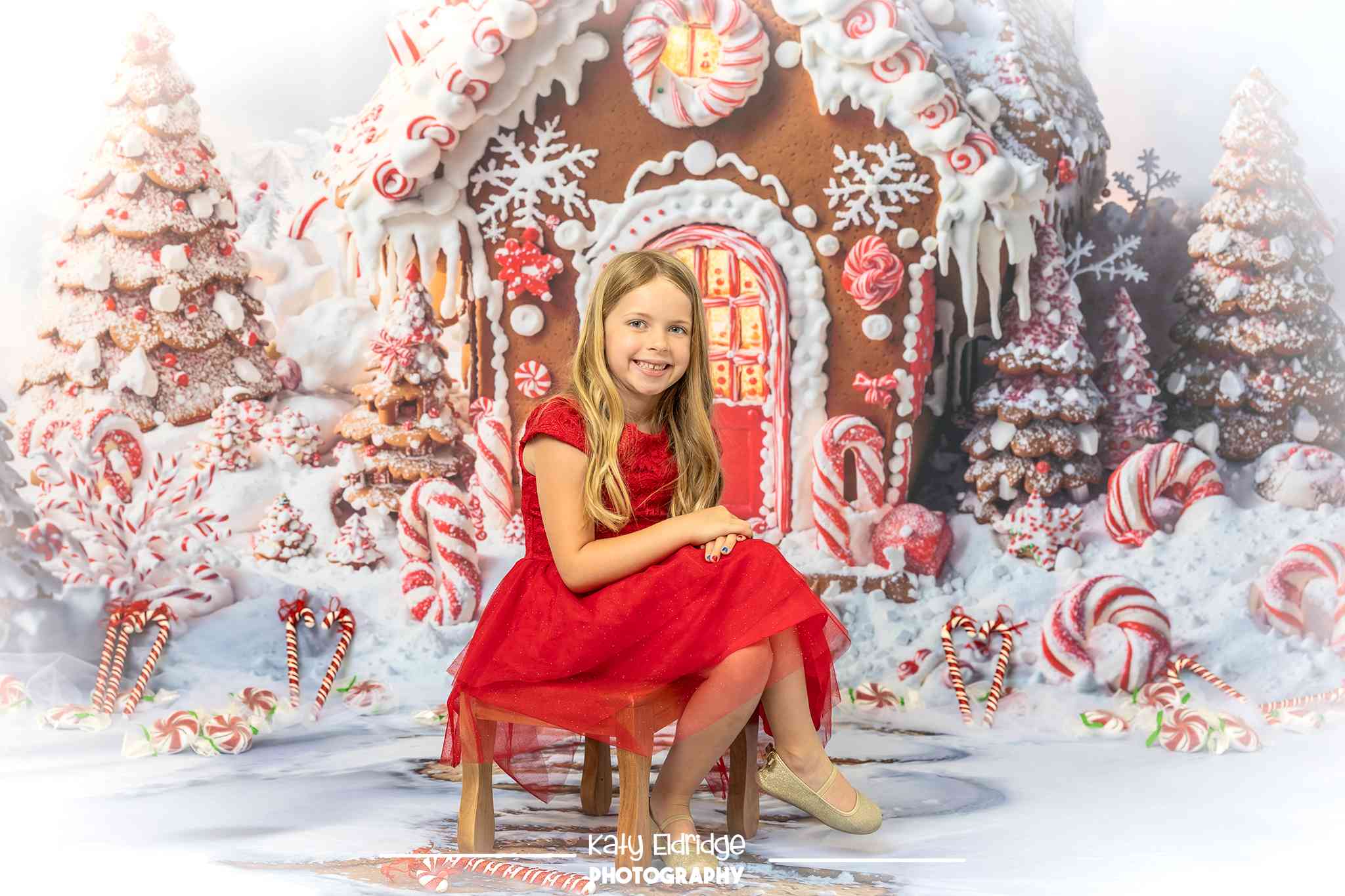Kate Maison en Pain d'épices Noël Toile de fond conçue par Chain Photographie - Kate Backdrop FR