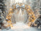 Kate Noël Arche Lumineuse Forêt Toile de fond en Laine conçue par Emetselch - Kate Backdrop FR