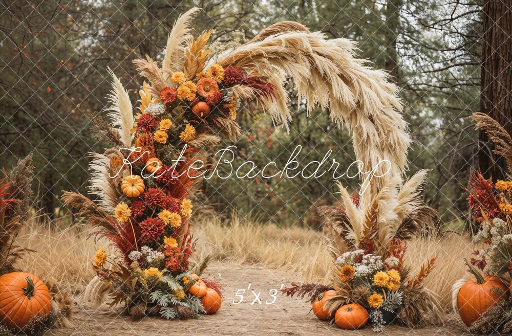 Kate Automne Arc Fleurs Herbe Citrouilles Toile de fond conçue par Emetselch