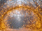 Kate Arc Branches Lumières Dorées Toile de fond conçue par Mini MakeBelieve - Kate Backdrop FR