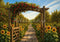 Kate Automne Jardin Pommiers Tournesols Toile de fond conçue par Mini MakeBelieve - Kate Backdrop FR
