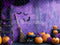 Kate Halloween Citrouilles Balai Chauves-Souris Violet Toile de fond conçue par Patty Roberts - Kate Backdrop FR