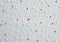 Kate Cœurs Pierre Blanc Rouge Sol Toile de fond conçue par Mini MakeBelieve