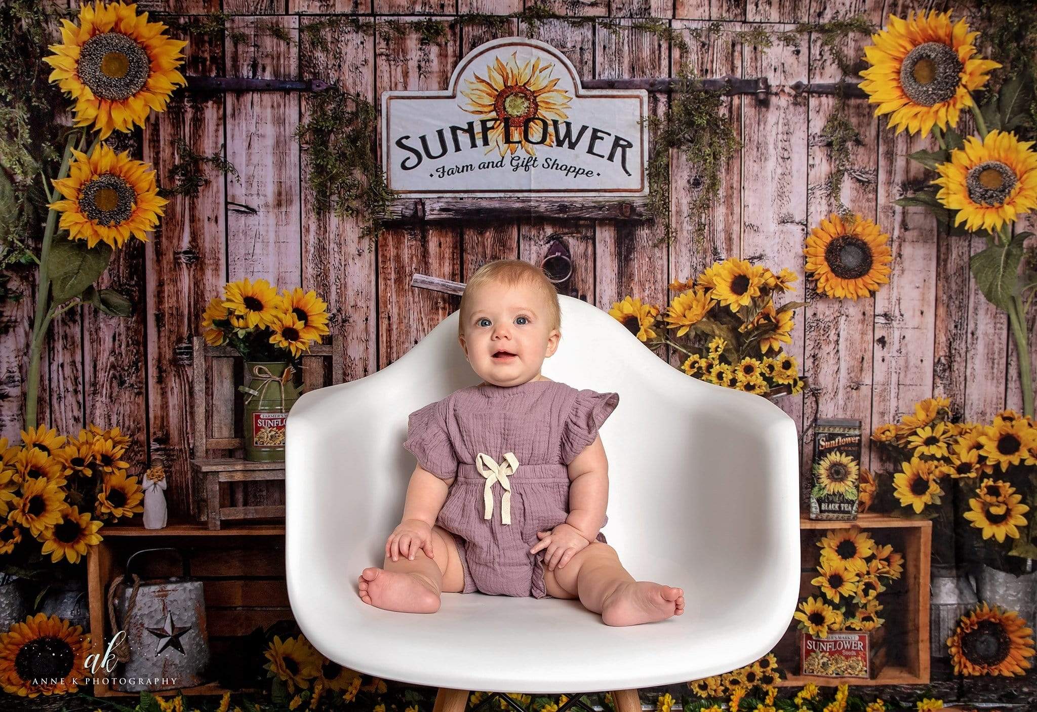 Kate Tournesol Mur Bois Automne Toile de fond pour la photographie - Kate Backdrop FR