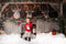 Kate Noël Blanc Étal de Rennes Lumières Toile de fond conçue par Mini MakeBelieve - Kate Backdrop FR