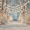 Kate Hiver Forêt Neige Lumières Toile de fond conçue par Emetselch - Kate Backdrop FR