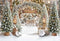 Kate Hiver Sapins Patins Arc Toile de fond conçue par Emetselch - Kate Backdrop FR