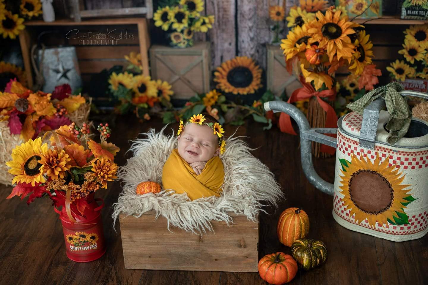 Kate Tournesol Mur Bois Automne Toile de fond pour la photographie - Kate Backdrop FR