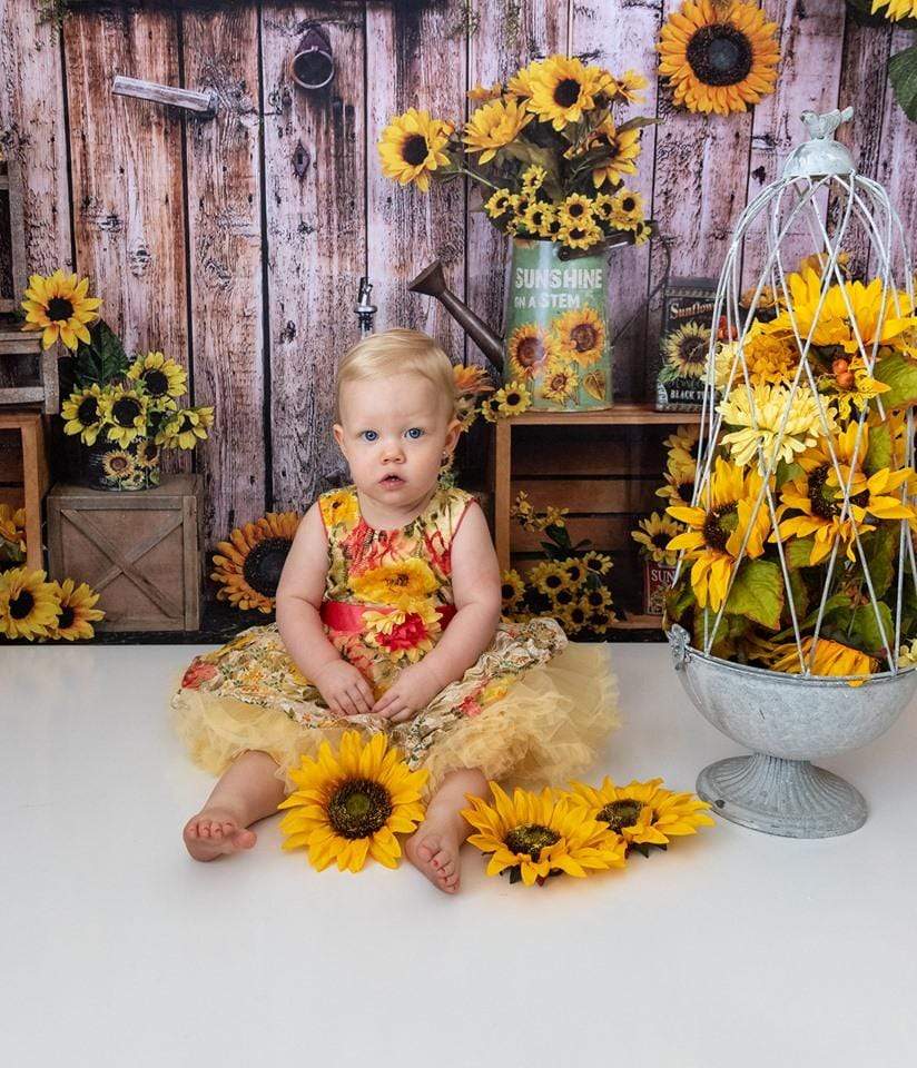 Kate Tournesol Mur Bois Automne Toile de fond pour la photographie - Kate Backdrop FR