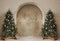 Kate Sapins de Noël Cadeaux Arche Toile de fond conçue par Emetselch