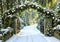Kate Noël Chemin Arbres Neige Hiver Toile de fond conçue par Mini MakeBelieve - Kate Backdrop FR