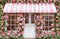 Kate Saint Valentin Magasin Fleurs Rose Toile de fond en Polar conçue par Emetselch