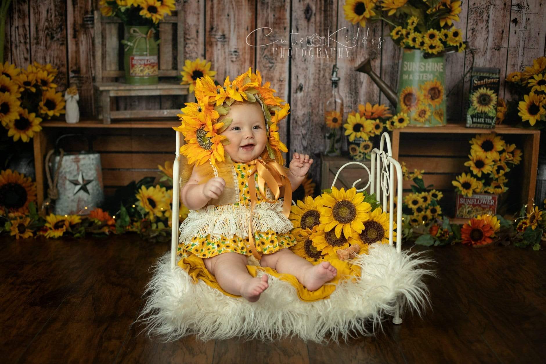 Kate Tournesol Mur Bois Automne Toile de fond pour la photographie - Kate Backdrop FR