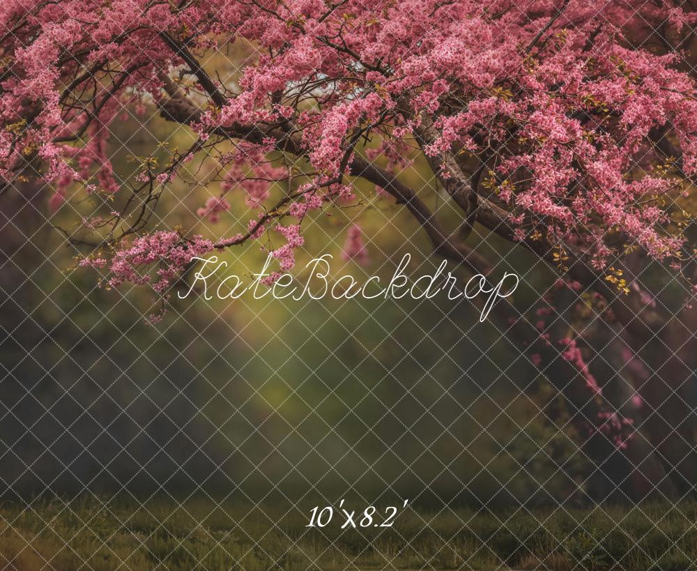 Kate Printemps Arbre Fleurs Rose Toile de fond en Laine conçue par Emetselch - Kate Backdrop FR