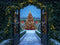 Kate Sapin de Noël Lumières Porte Neige Toile de fond conçue par Mini MakeBelieve - Kate Backdrop FR